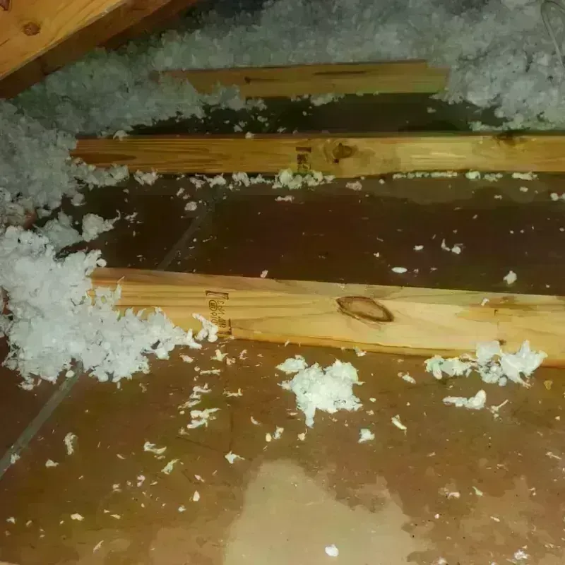 Attic Water Damage in West Samoset, FL